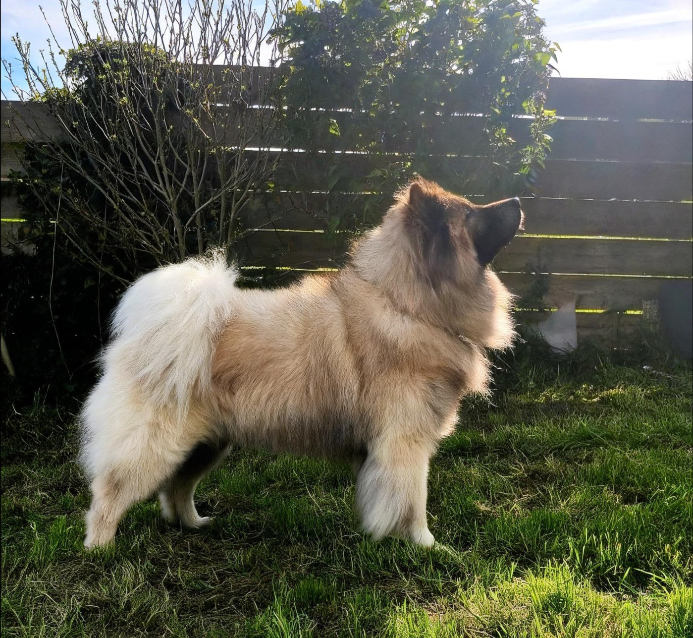 Bientôt des bébés !!